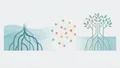 Enabling mangrove restoration by AI-tailored microbiome fortification — project cover